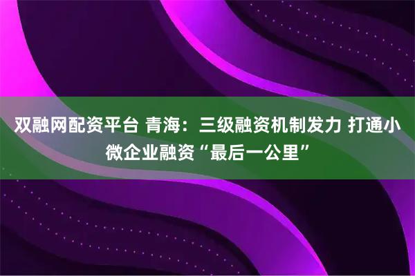 双融网配资平台 青海:三级融资机制发力 打通小微企业融资“最后一公里”