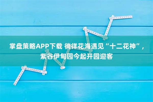 掌盘策略APP下载 徜徉花海遇见“十二花神”，紫谷伊甸园今起开园迎客